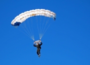 爱游戏官方入口-舞台有多大，浓眉就有多强，当公牛铁蹄遇上紫金王朝