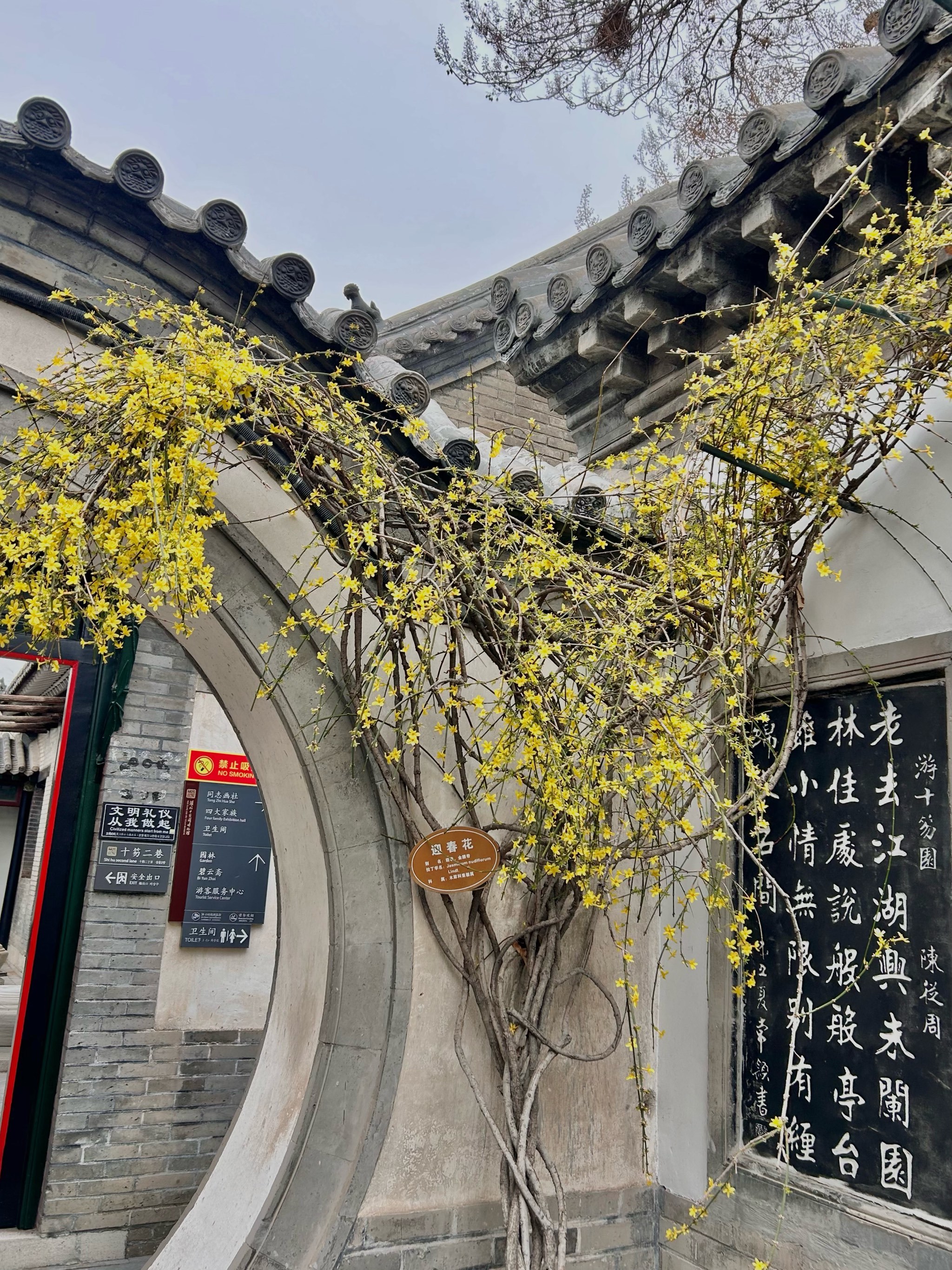 C9翻盘NS,Ming关键制胜 C9翻盘NS,Ming关键制胜