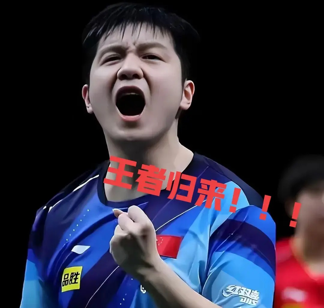 比利时乒乓球队翻盘法国乒乓球队,樊振东关键制胜 比利时乒乓球队翻盘法国乒乓球队,樊振东关键制胜