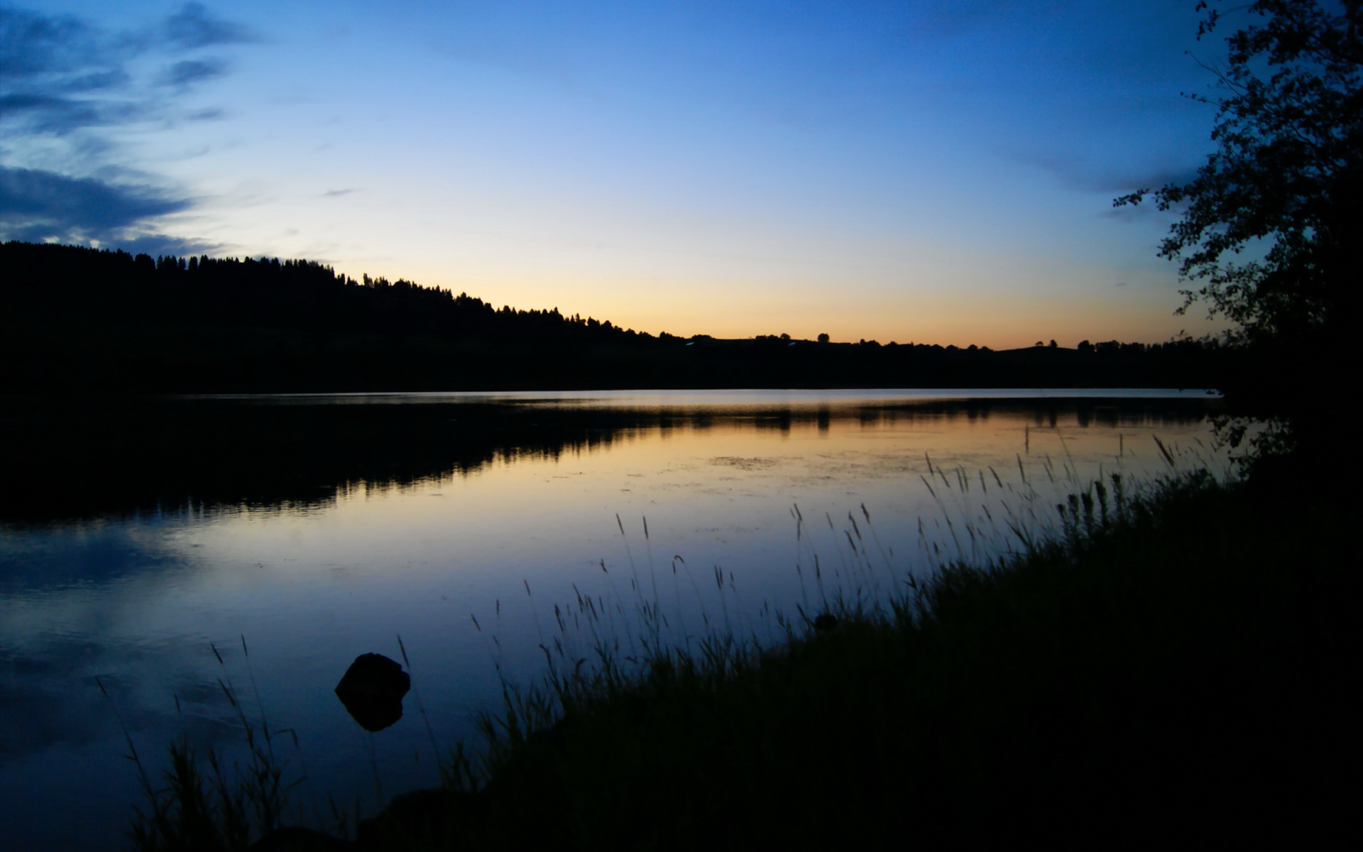 当麦迪逊广场花园的灯光熄灭，布伦森在欧冠决赛之夜的纽约回响
